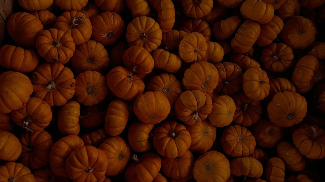 La stagionalità dei cibi: cosa mangiare ogni mese