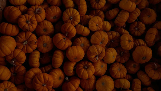 La stagionalità dei cibi: cosa mangiare ogni mese