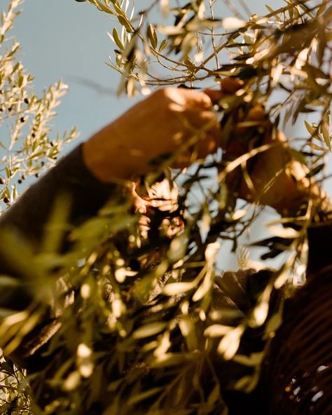 Sostenibilità o moda passeggera? La differenza tra impegno e greenwashing