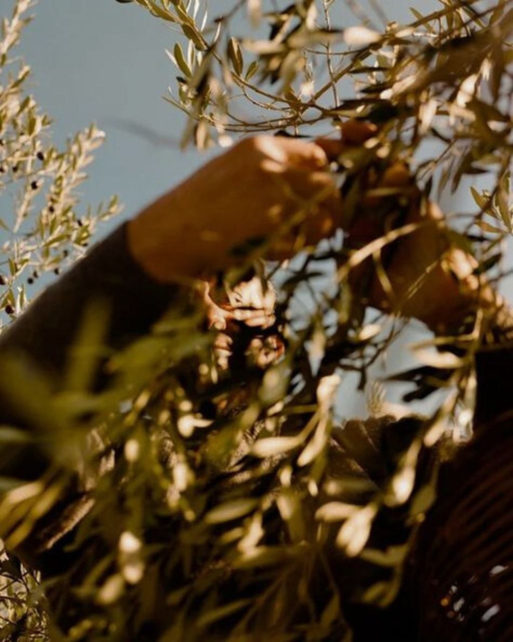 Sostenibilità o moda passeggera? La differenza tra impegno e greenwashing